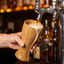 Oak Beer Mug
